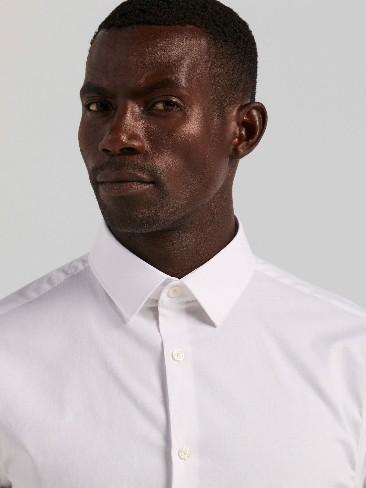 Perry Ellis Cotton Blend Slim Fit Dress Shirt