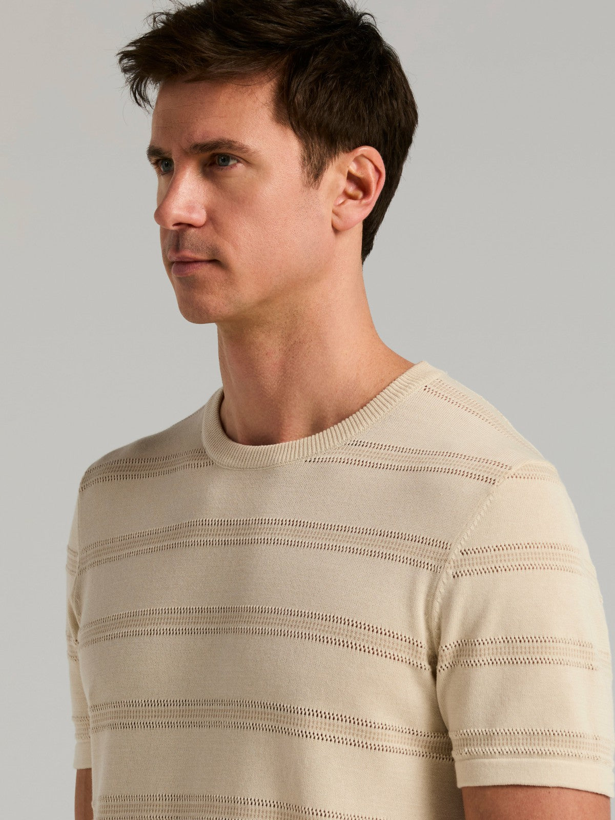 Perry Ellis Cotton Mesh Striped Crew Neck Sweater Tee